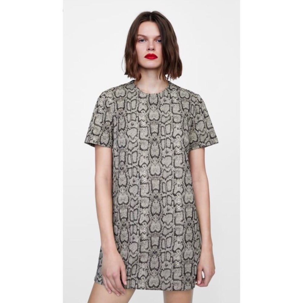 Zara Snakeskin Dress